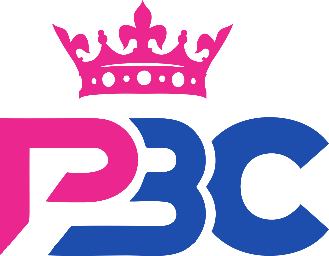 PBC Youth Transformation Foundation Logo